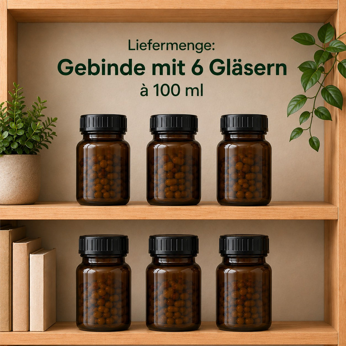 Lieferumnfang: Gebinde mit 6 Braungläsern à 100 ml