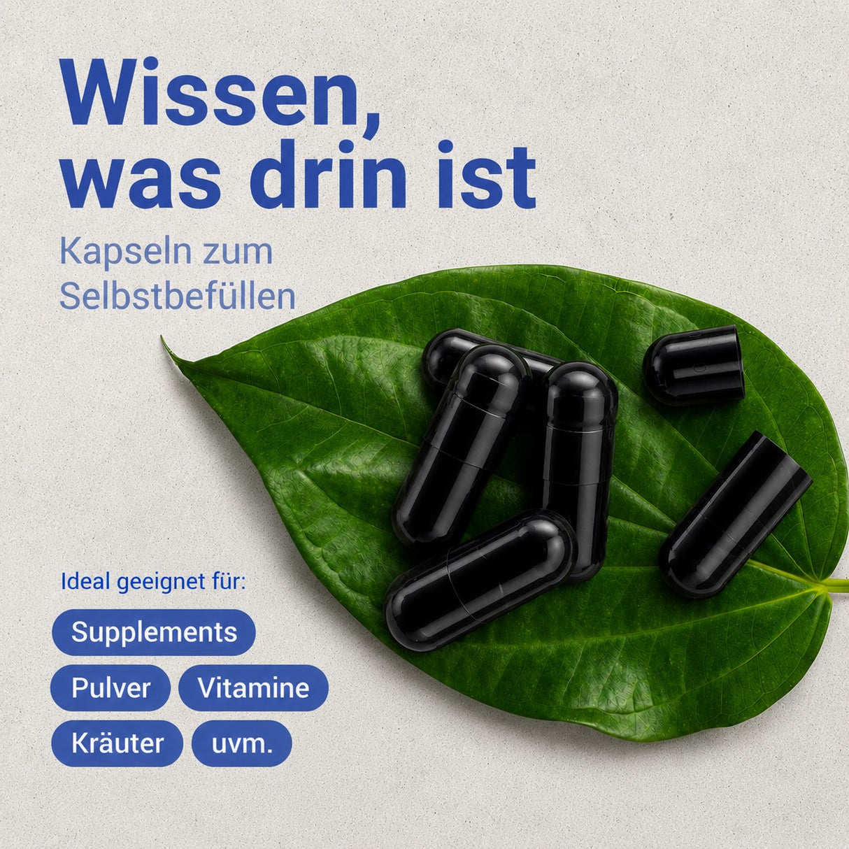 Kapseln auf grünem Blatt, geeignet für Supplements, Pulver, Vitamine und Kräuter; Text: Wissen, was drin ist