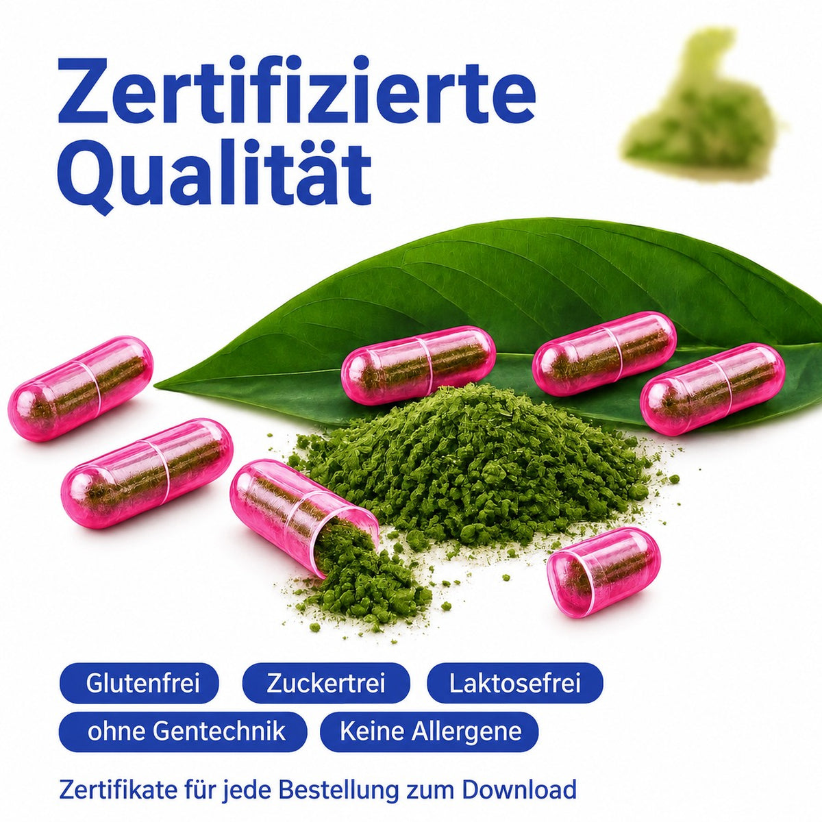 Grünes Pulver und pinke Kapseln, zertifizierte Qualität aus Europa, glutenfrei, zuckerfrei, laktosefrei, ohne Gentechnik und allergenfrei