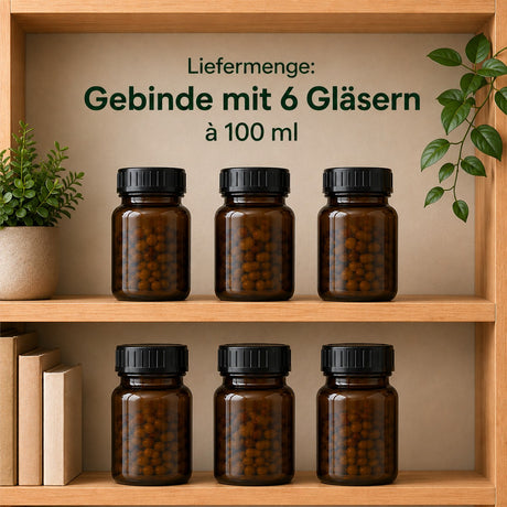 Lieferumnfang: Gebinde mit 6 Braungläsern à 100 ml