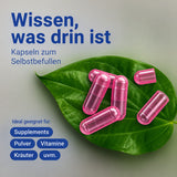 Kapselfüller mit befüllten pinken Kapseln, Kapseln sind geeignet für manuelle und automatische Befüllung