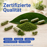 Grünes Pulver und Kapseln, zertifizierte Qualität, glutenfrei, zuckerfrei, laktosefrei, ohne Gentechnik und allergenfrei