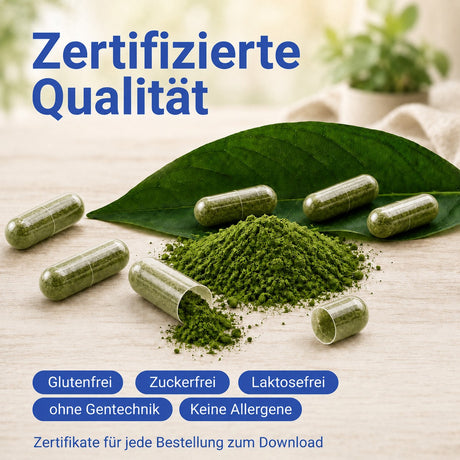 Grünes Pulver und Kapseln, zertifizierte Qualität, glutenfrei, zuckerfrei, laktosefrei, ohne Gentechnik und allergenfrei