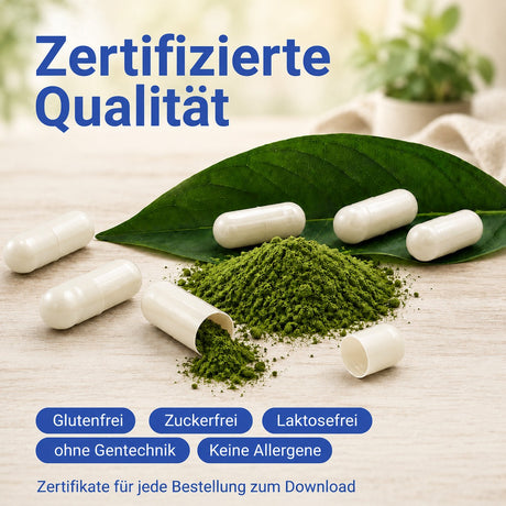 Grünes Pulver und weiße Kapseln, zertifizierte Qualität aus Europa, glutenfrei, zuckerfrei, laktosefrei, ohne Gentechnik und allergenfrei
