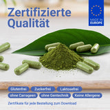 Grünes Pulver und Kapseln, zertifizierte Qualität aus Europa, glutenfrei, zuckerfrei, laktosefrei, ohne Gentechnik und allergenfrei