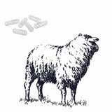 Bild mit Schaf und  veterinärmedizinischen Kapseln